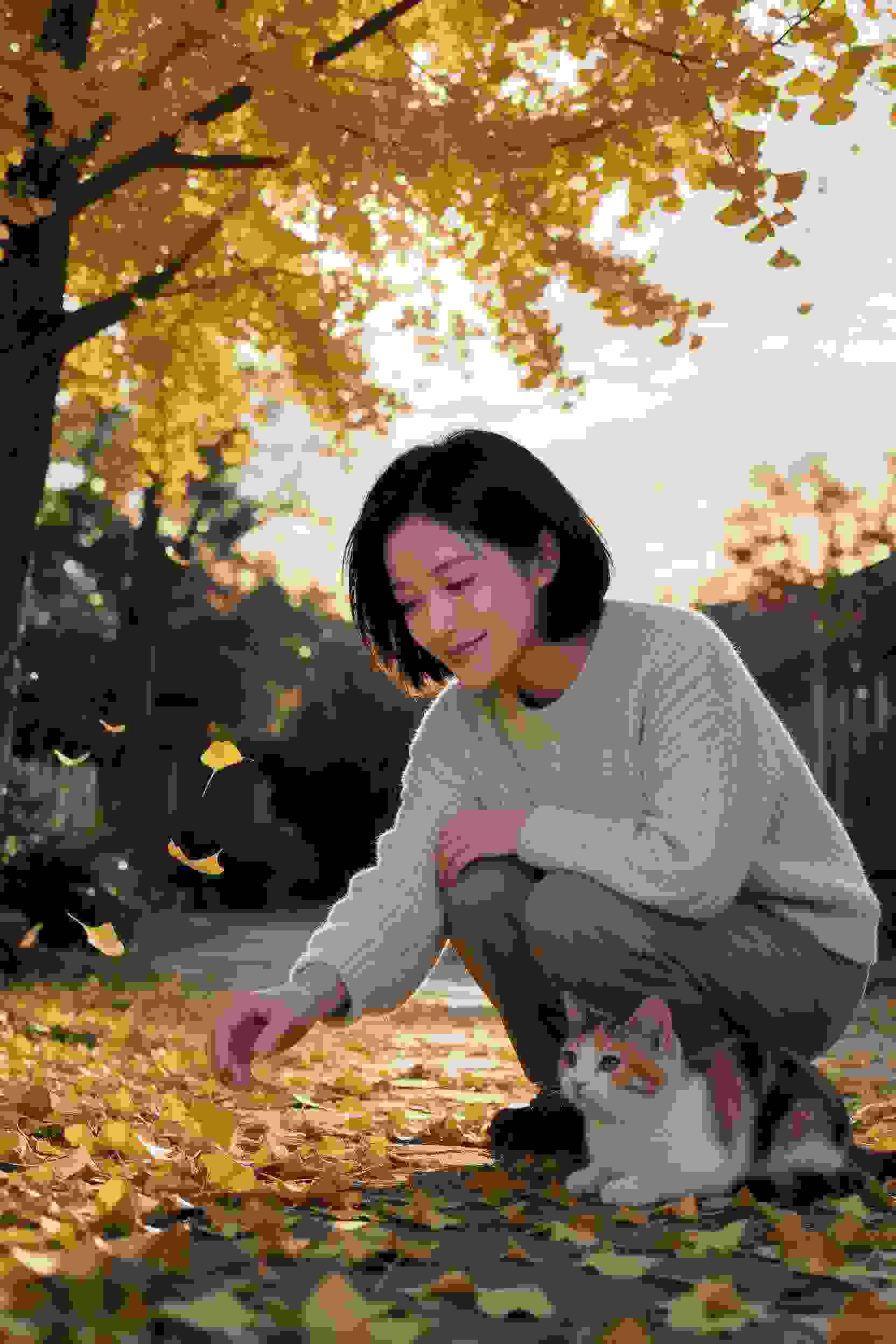 心动的信号